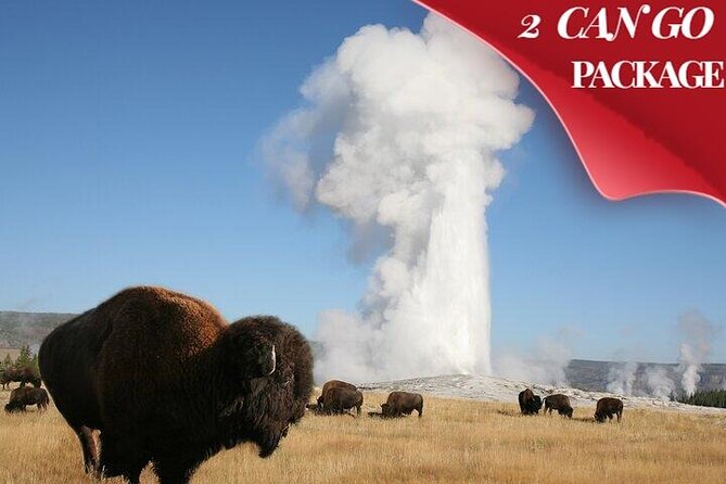 Yellowstone & Grand Teton National Parks: Small Group 4-Day Tour - Accommodations and Booking Information