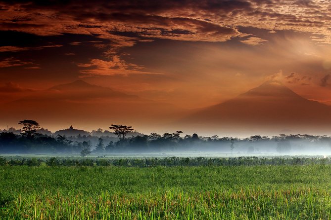 Yogyakarta Private Car and Driver Full-Day for up to 4 - Inclusions