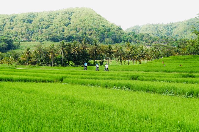 Yogyakarta Small-Group Countryside Cycle Tour With Snacks - Cancellation Policy