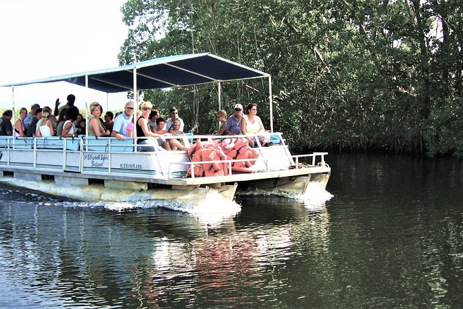YS Falls and Black River Safari Guided Tour From Montego Bay and Grand Palladium - Overview