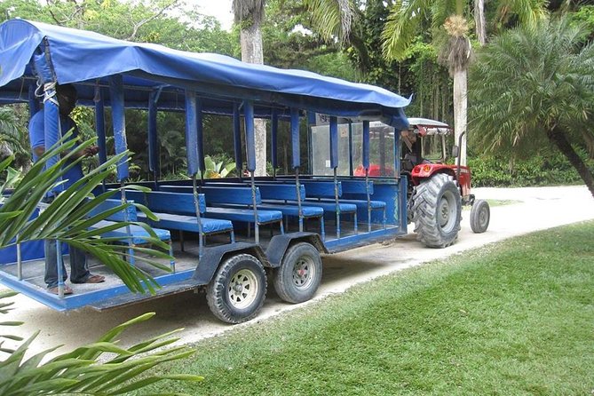 YS Falls and the Pelican Bar Adventure Tour From Negril - Traveler Tips