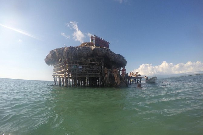 YS Falls, Black River Safari, Floyd's Pelican Bar - Tour Overview