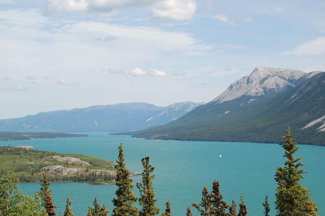 Yukon Extended Summit Drive Tour (From Skagway) - Small-Group Experience