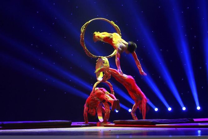 Zhujiajiao Private Day Tour and Shanghai Acrobatic Show - Tour Overview