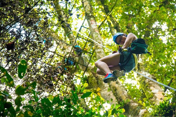 Zip Line La Carpintera. Half Day Tour Zipline Rappel Hiking in San Jose - Location and Accessibility