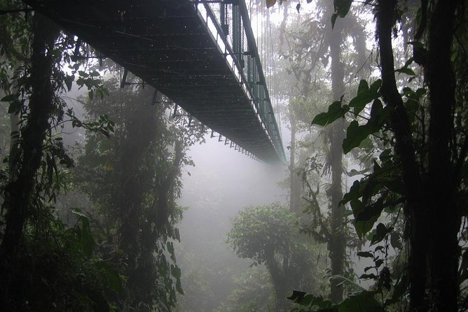 Zipline and Hanging Bridges Combo Tour in Monteverde Cloud Forest - Meeting and Pickup Points