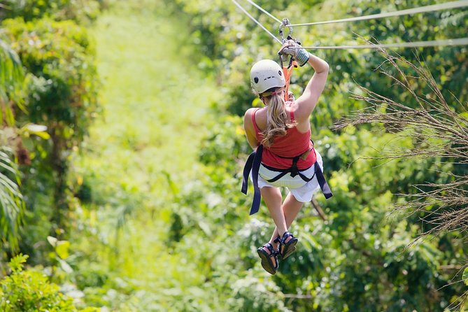 Zipline Canopy Tour & Tortuguero Canal Boat Tour. Shore Excursion From Limon - Pickup and Logistics