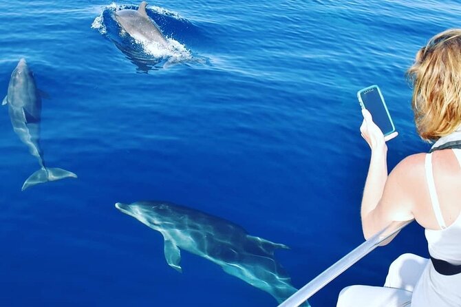 2h Dolphin Watching and Marine Life Ria Formosa Natural Park - Good To Know