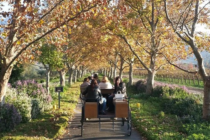 2h – Engagement/Anniversary Carriage Trail