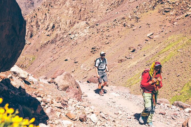 3-Day Atlas Mountains Hiking Tour From Marrakech - Accommodation and Dining Options