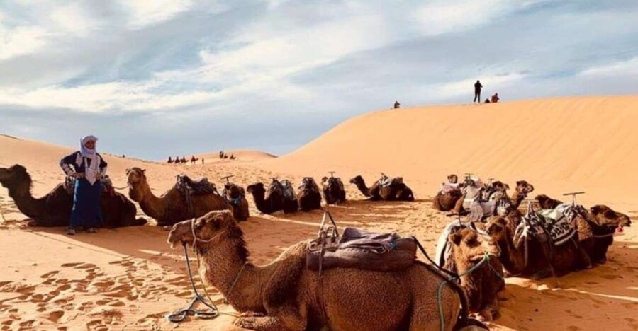 3-Day Desert Excursion From Tangier - Good To Know