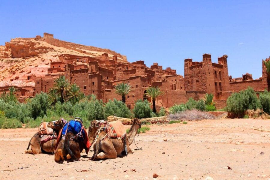 3 Day Desert Tour From Marrakech to Erg Chegaga - Tour Itinerary and Highlights