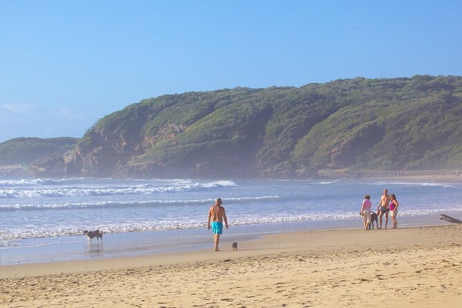 3 Day Garden Route & Robberg Nature Reserve Tour From Cape Town