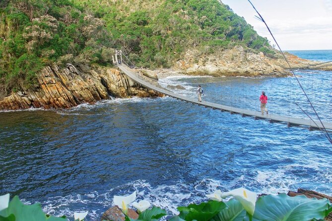 3 Day Garden Route Safari