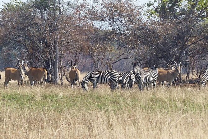 3 Day Garden Route Tour in Cape Town - Good To Know