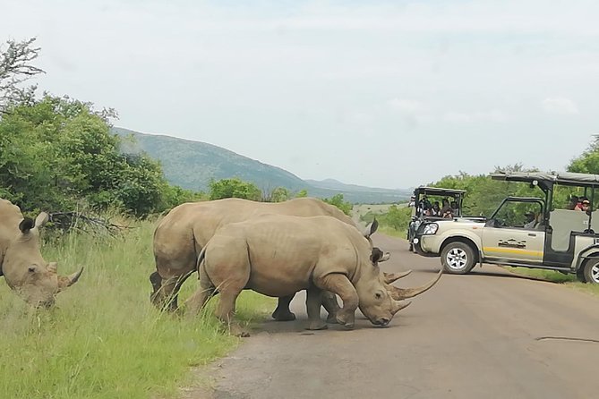 3 Day Kruger National Park End With Panaroma