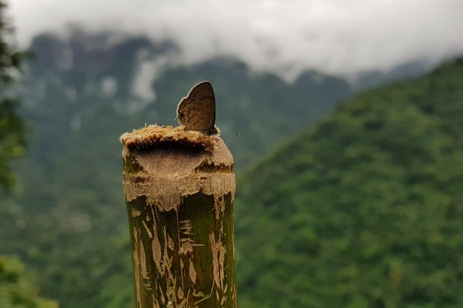 3-Day Meghalaya Tour From Guwahati (Feb )