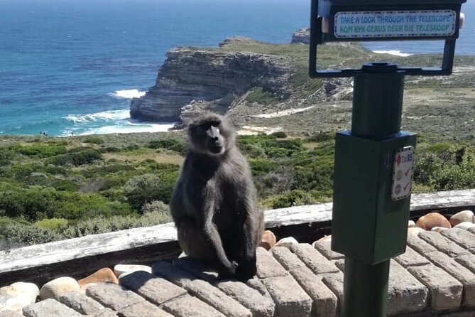 3 Day Private Full Day Cape Town Tour Includes Entries,Peninsula,Wine,City Tour,