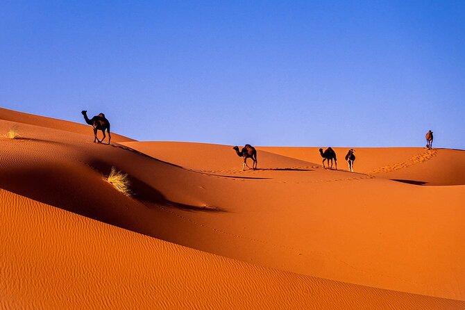 3-Day Private Sahara Desert to Merzouga From Marrakech With Licensed Guide - Itinerary Highlights