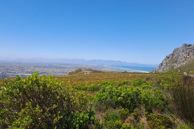 3 Day Tour: Cape Town, Table Mountain, Cape Peninsula, Winelands