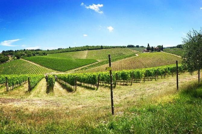 3-Day Tuscany Wine Tour Experience From Florence - Good To Know