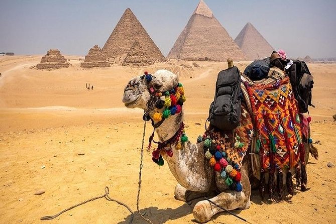 3 Days Cairo and Alexandria Tours Including the Entrance Fees