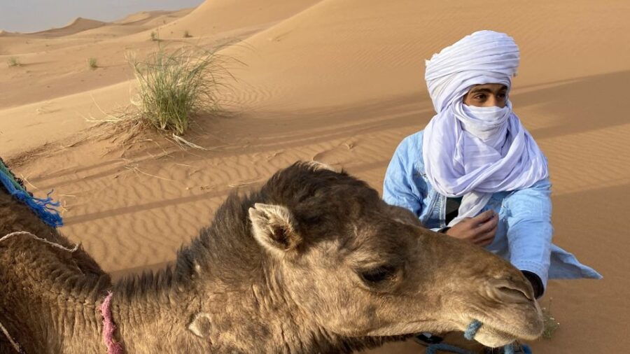 3 Days Camel Trekking in Morocco Desert Tour - Good To Know