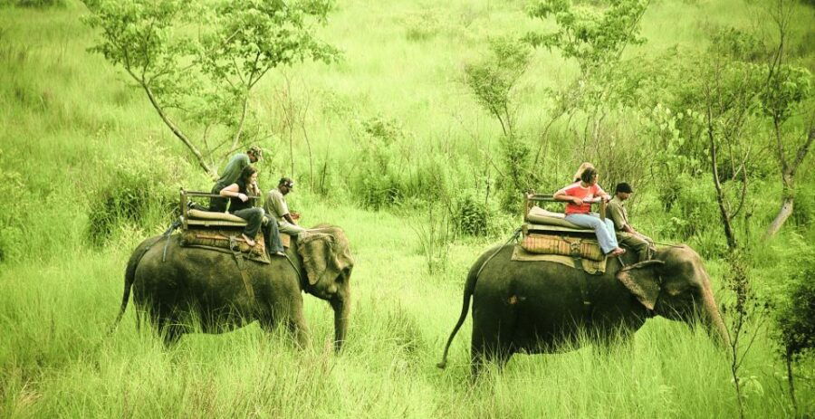 3 Days Chitwan Safari Tour - Good To Know