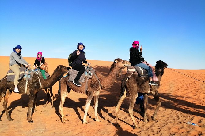 3 Days From Marrakech Merzouga Ends in Fez - Itinerary Highlights