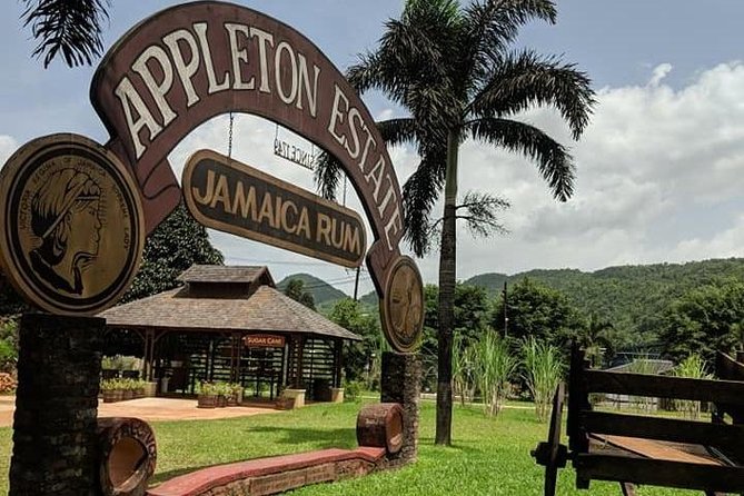 3-Days Jamaica Sightseeing Tour of Treasure Beach and Negril Departing From Kingston