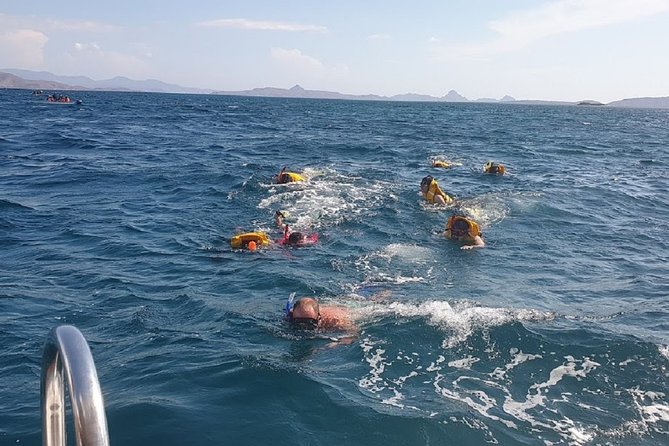 3 Days Komodo Island Tour