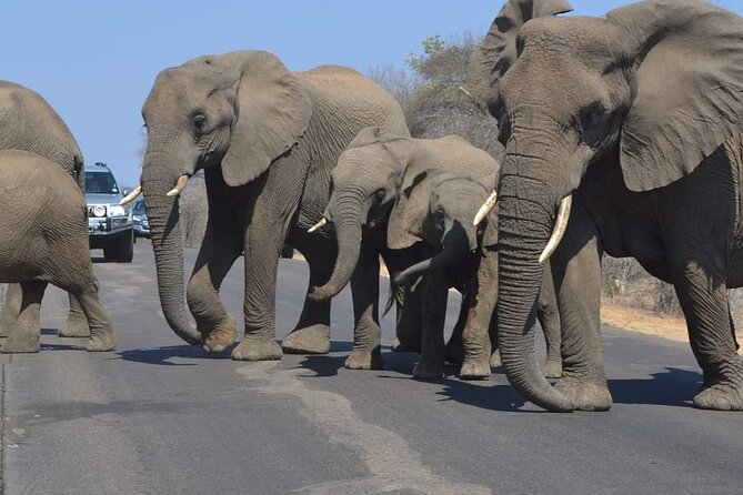 3 Days Kruger National Park - Itinerary Overview