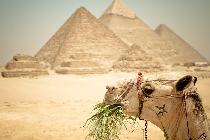 3-Days Private Guided Tour Package to Cairo, Giza and Alexandria - Good To Know