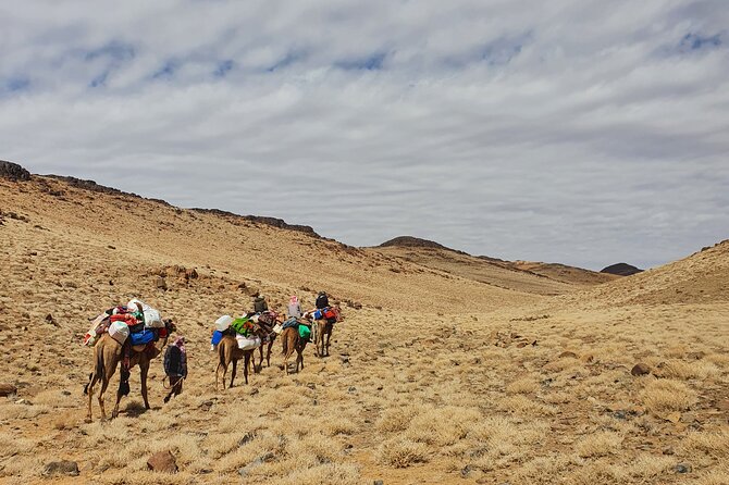 3 Days Private Hike Experience in Sinai Heights on Old Trails
