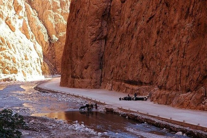 3 Days Shared Group Tour From Marrakech To Merzouga Desert - Good To Know
