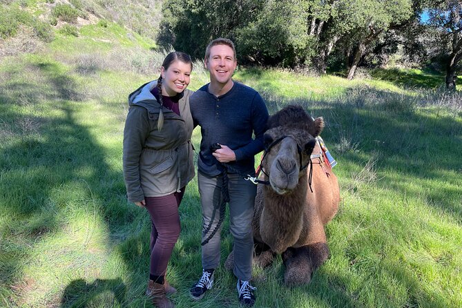 3 Hour Camel Trek Into the Forest and Ranch in California - Good To Know