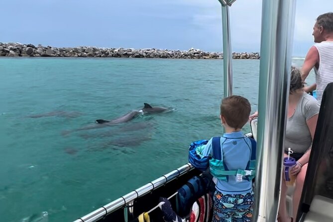 3 Hour Private Dolphin Swim Snorkel and Shell Island Excursion - Whats Included in the Excursion