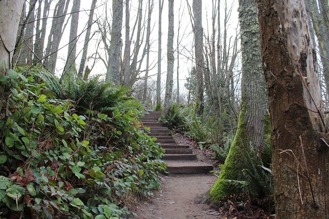 3 Hour Private Tour in Seattle Seaside Serenity - Good To Know