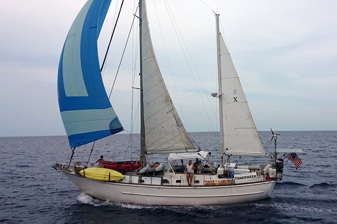 3 Hour Sailing Tour of Vineyard Haven Harbor and Sound