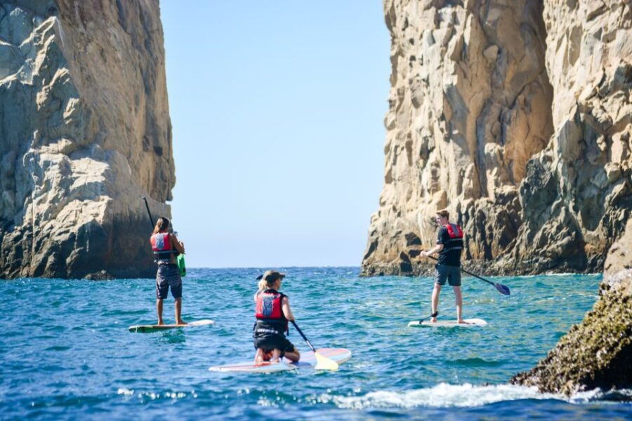 3-Hour Stand up Paddle and Snorkel at Los Cabos - Good To Know