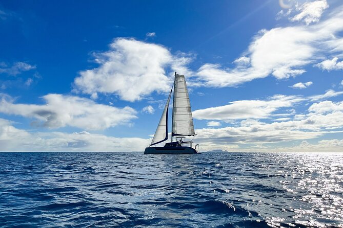 3-Hour Tour on a Luxury Catamaran - Good To Know