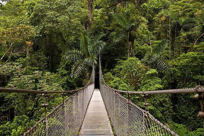 3-in-1 Arenal Combo Tour: Hanging Bridges, La Fortuna Waterfall & Volcano Hike