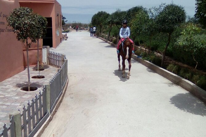1 Day Horseback Ride With Lunch - Cancellation Policy