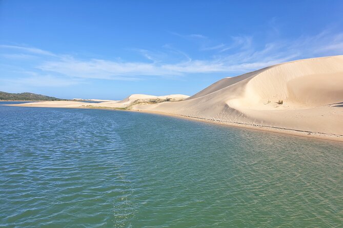 2 Day Addo Elephant Park Safari - Reviews