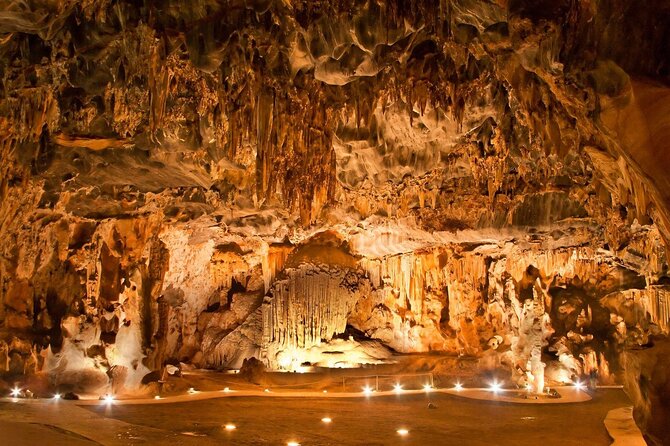2 Day Small Group Garden Route Big 5 Safari Tour From Cape Town - Garden Route Exploration