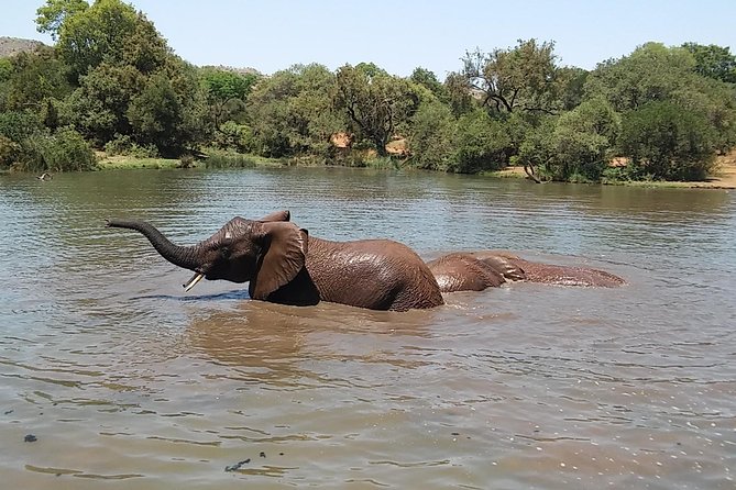 2 Day Tented Safari in the Pilanesberg - Cancellation Policy