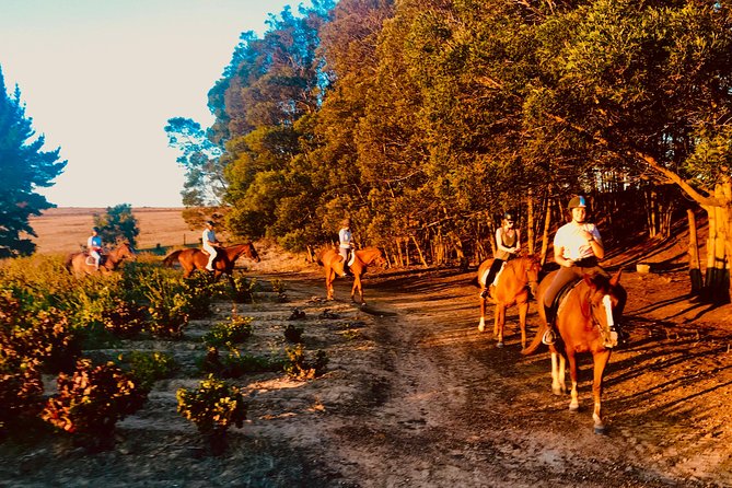 2 Hour Vineyard Trail Ride - Important Information and Requirements