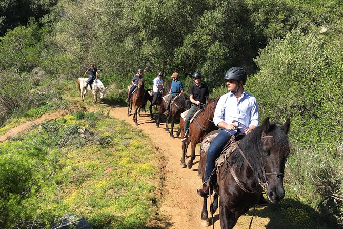 2h – Horse Trail - Wheelchair Accessibility