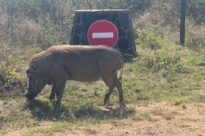 3 Day Kruger National Park End With Panaroma - Common Questions