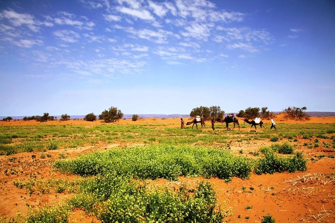 3-Day Private Morocco Desert Tour From Agadir to Erg Chigaga Dunes - Additional Information
